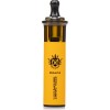 DAPR Royal Gambit Disposable Vape - Cool Mint