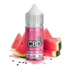 CBDfx Vape Series Wild Watermelon 30ml Vape Juice